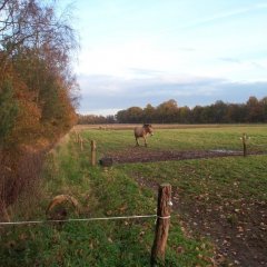 Balen – De Most-Keiheuvel