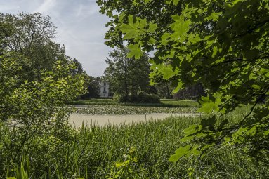 Bosbaden