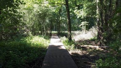 Geen afbeelding beschikbaar