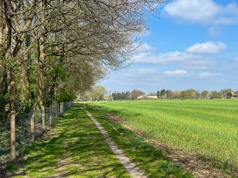 Geen afbeelding beschikbaar