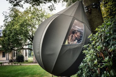 Dromen tussen de bomen