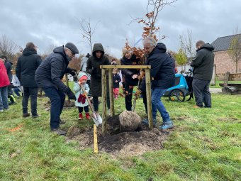 Geen afbeelding beschikbaar