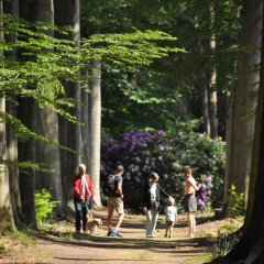 Kasteeldomein Zellaer