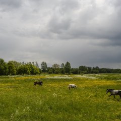 Vallei van de grote Nete