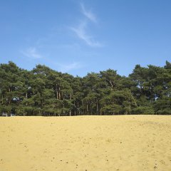 Geel-Bel en Volmolen