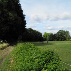 Kempens Landschap neemt gronden Umicore te Olen in erfpacht