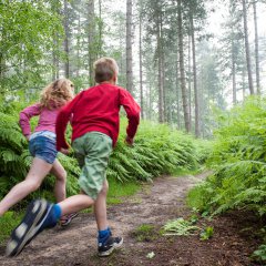 Familie-avontuur met de wandelapp Vossenstreken