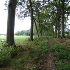 Kempens Landschap koopt 20 ha bos en open ruimte nabij kasteel van Noorderwijk 