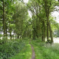 Groene long in Olen wordt opgewaardeerd