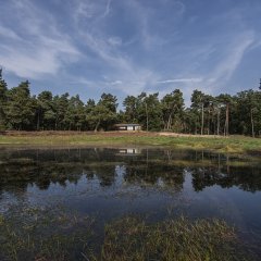 Extra hectare bos voor Goriënberg in Retie