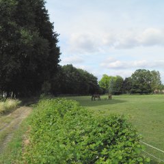 Groene long in Olen wordt opgewaardeerd