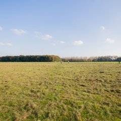 Kempens Landschap koopt open ruimte aan in Hove 