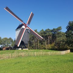 Breng in maart een bezoek aan de Beddermolen