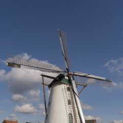 Breng in maart een bezoek aan de windmolen van Gierle