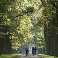 Nieuwe stap naar UNESCO-nominatie van Wortel- en Merksplas-Kolonie