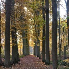 Activiteiten tijdens de herfst - winter 2020