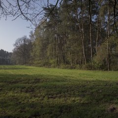 Beschermd stuk bos in Geel-Bel wordt publiek 