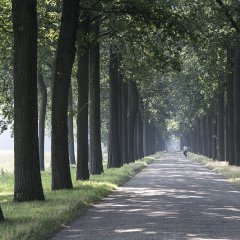 De Koloniën van Weldadigheid trekken hoopvol richting het UNESCO-Werelderfgoedcomité