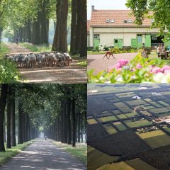 Wortel-Kolonie als eerste Belgisch cultureel landschap op de UNESCO-Werelderfgoedlijst