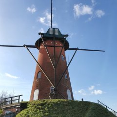 Erfgoedpremie voor De Stenen Molen van Oelegem