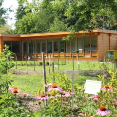 Kempens Landschap koopt bijencentrum De Raam in Rijkevorsel