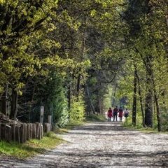 Kempens landschap koopt 3 nieuwe bospercelen Geel-Bel aan