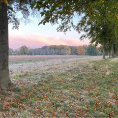 Domein Ter Speelbergen breidt uit: Kempens Landschap koopt aanpalend 8 hectare aan