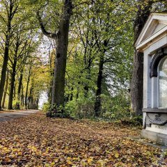 Kempens Landschap controleert veiligheid bomen Moretusdreef