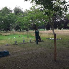 Schapen in boomgaard park Redemptoristen zorgen voor extra beleving