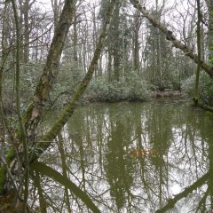 Stichting Kempens Landschap start met slibruiming vijver kasteel Zellaer