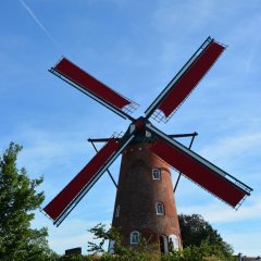 Stenen Molen Oelegem officieel ingehuldigd