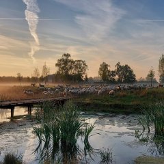 Prachtig stukje Borsbeek wint fotowedstrijd