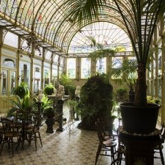 Wintertuin Ursulinen wordt toeristische trekpleister voor art nouveau-liefhebbers