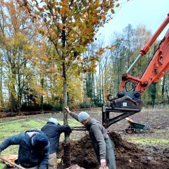 Rustoase in Hof Ter Laken krijgt vorm 