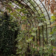 Serre en volière op kasteeldomein Hof Ter Laken schitteren als weleer