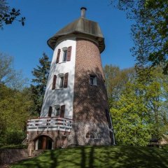 Zwarte Molen in Lille klaar voor de toekomst: Stichting Kempens Landschap en gemeente Lille gaan voor herbestemming windmolen