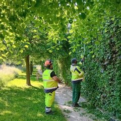 Provincie Antwerpen steunt Stichting Kempens Landschap met subsidie voor Landschapsdokters 