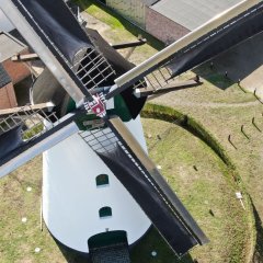 Lilse molen ’In Stormen Sterk’ breidt uit met bakhuis en authentieke oven. Broodnodige hulp gezocht: molenaars zoeken vrijwilligers 