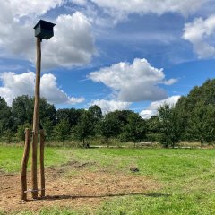 Torenvalken krijgen nestkast in landschapspark Frijthout