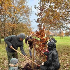 Geboortebos Borsbeek weer stukje groter dankzij kersverse ouders