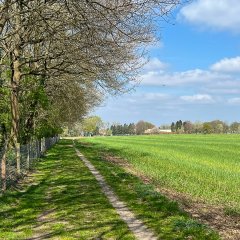 Koning Boudewijnstichting vertrouwt omgeving Selsaete toe aan Stichting Kempens Landschap