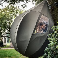 Dromen tussen de bomen