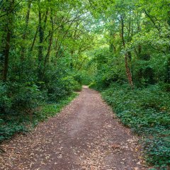 Eerste beheerwerken in Molenbos Nijlen van start