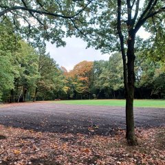 Park Zellaer: oud basketbalveld maakt plaats voor groen