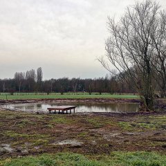 Stichting Kempens Landschap herstelt historische poel in Hove