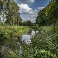 Infowandeling Sigmaplan Grote Nete 