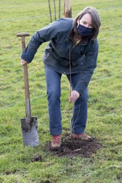 Aanplant 2021 (c) gemeente Zoersel