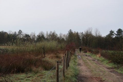 Beerse Peelerheide (2)