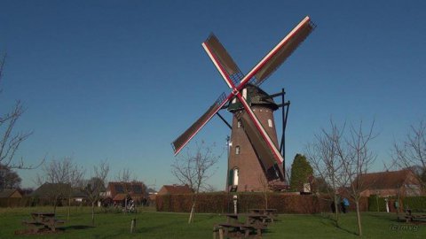 Molenhuis van de Scherpenbergmolen in Malle zoekt nieuwe bestemming