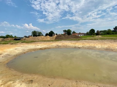 Ewaud Meeusen Dwergenbos Zoersel